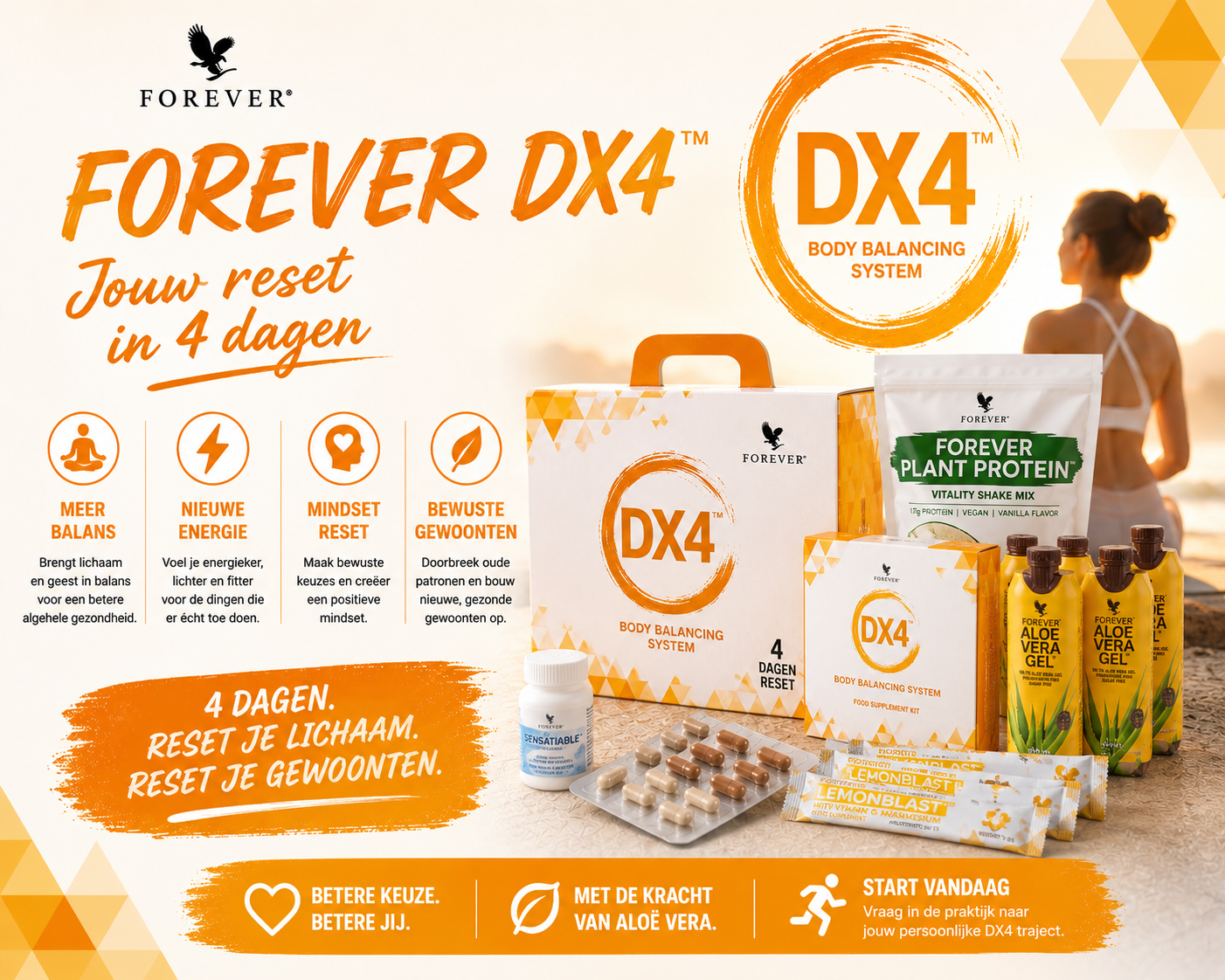Forever DX4 — programma onderdelen