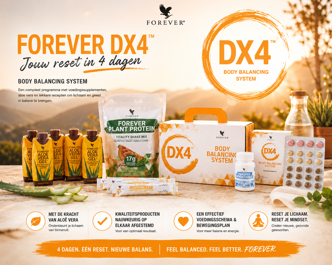 Forever DX4 supplementen overzicht