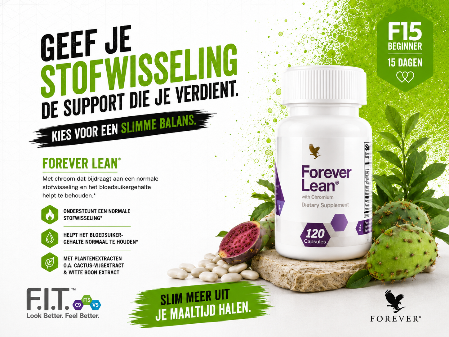 Forever Lean