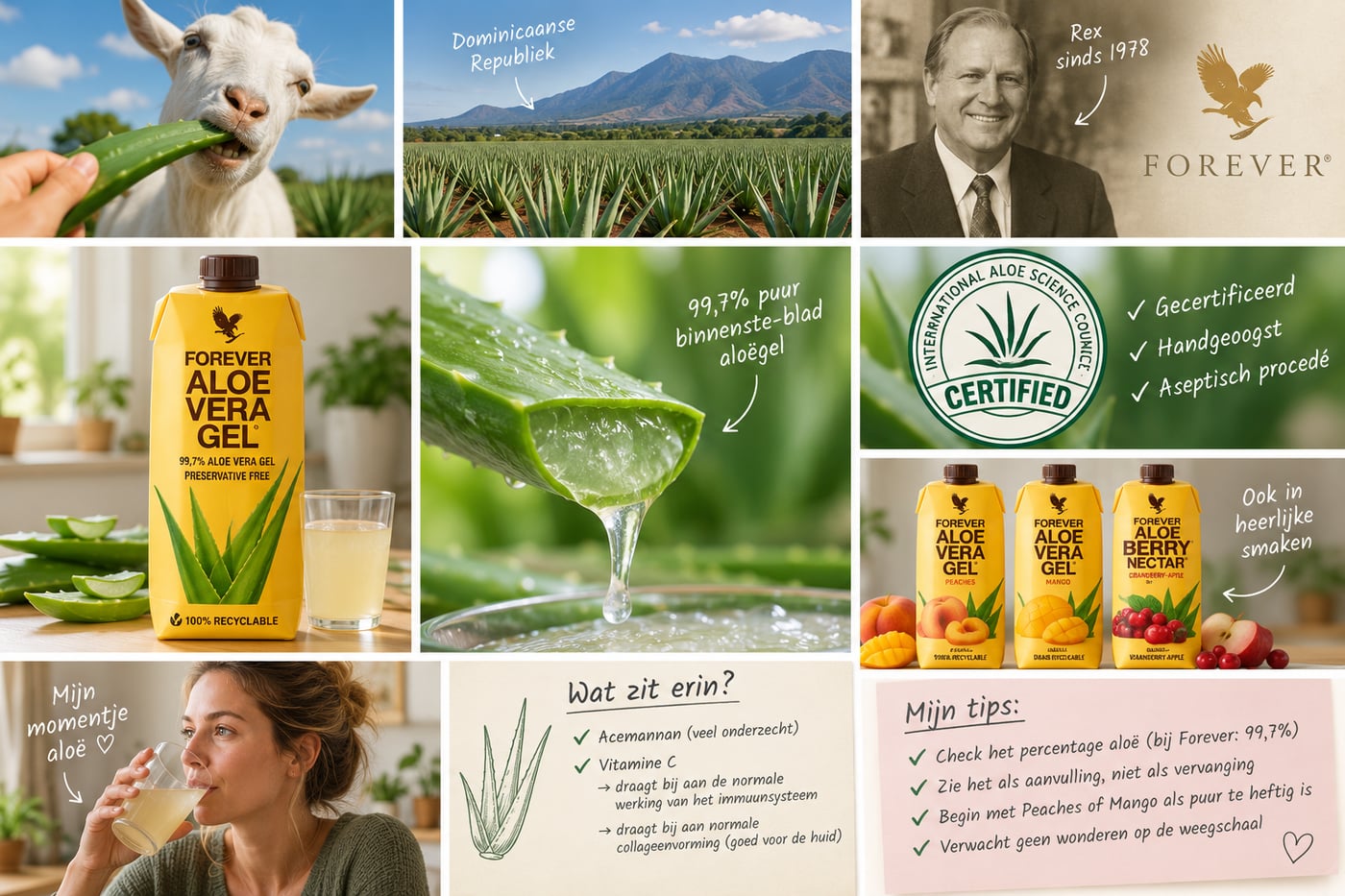Collage rond Forever Aloe Vera Gel: het pak, de aloëplant met gel uit het binnenste blad, oprichter Rex sinds 1978, de International Aloe Science Council-certificering en de smaakvarianten Peaches, Mango en Berry Nectar